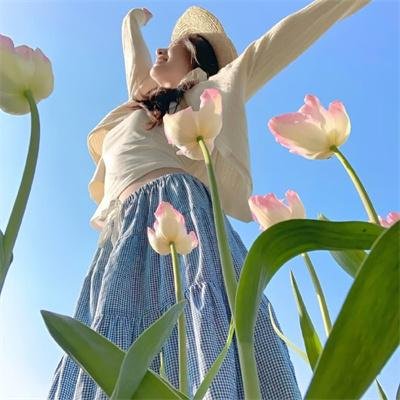 毒枭的末日
